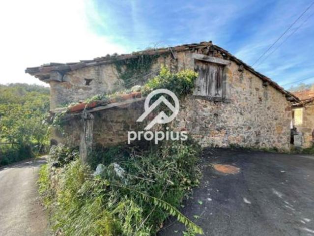 Casa Venta Onís, Avín