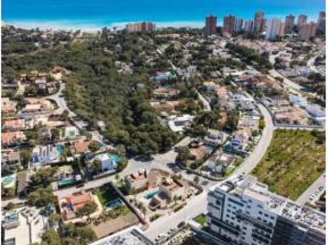Estudio Venta Orihuela, Orihuela Costa
