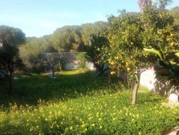 Casa Venta Alhaurín de la Torre, Capellanía Retamar