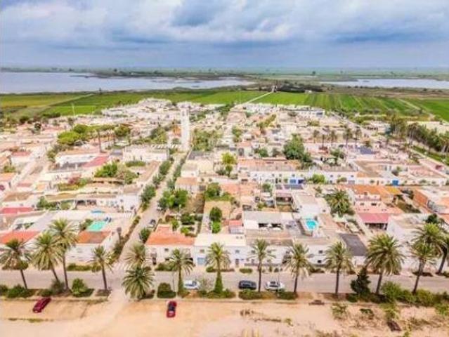 Casa Venta Amposta, Poble Nou del Delta Eucaliptus