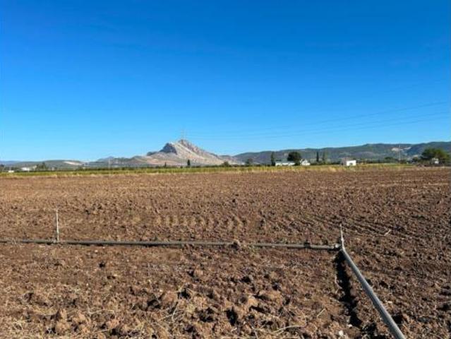 Casa Venta Antequera, Zona Cueva de Menga