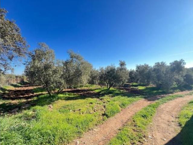 Casa Venta Antequera, Recinto Ferial Circunvalación La Vega