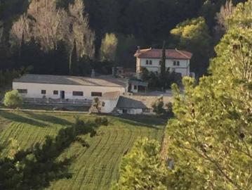 Casa Venta Bot, Bot