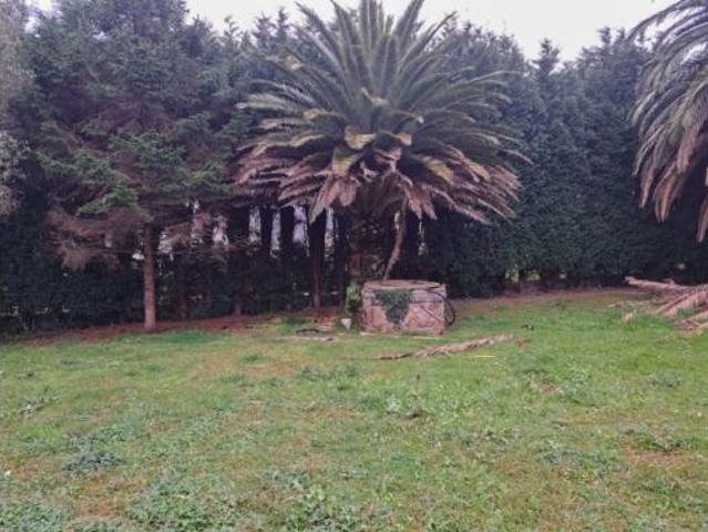 Casa Venta Castrillón, Bayas