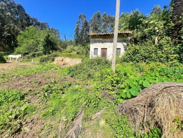 Casa Venta Castrillón, Berruga