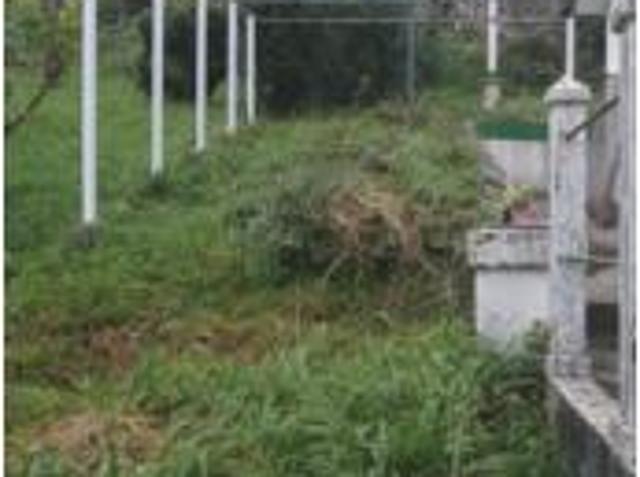 Casa Venta Cedeira, Lamelas