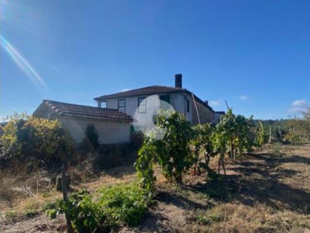 Casa Venta Coles, Coles Capital