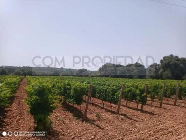 Casa Venta Costitx, Costitx