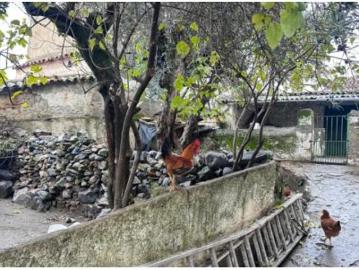 Casa Venta El Real de La Jara, El Real de La Jara