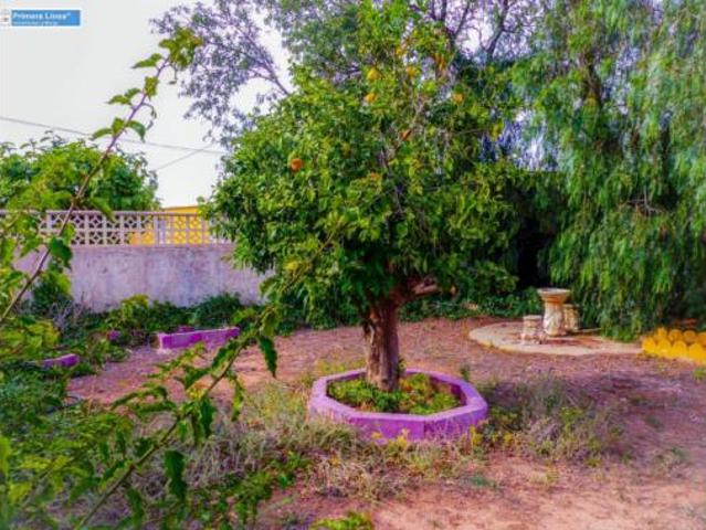 Casa Venta Fuente Álamo de Murcia, Fuente Álamo
