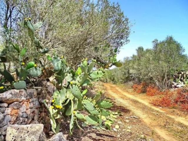 Casa Venta Felanitx, Felanitx
