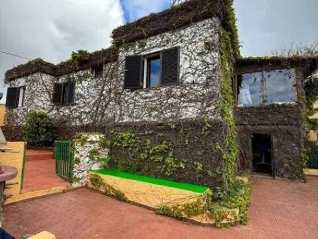 Casa Venta Firgas, Acebuche