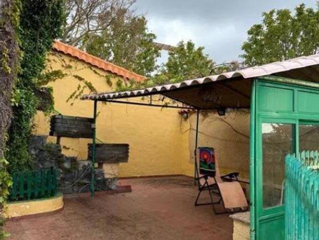 Casa Venta Firgas, Acebuche