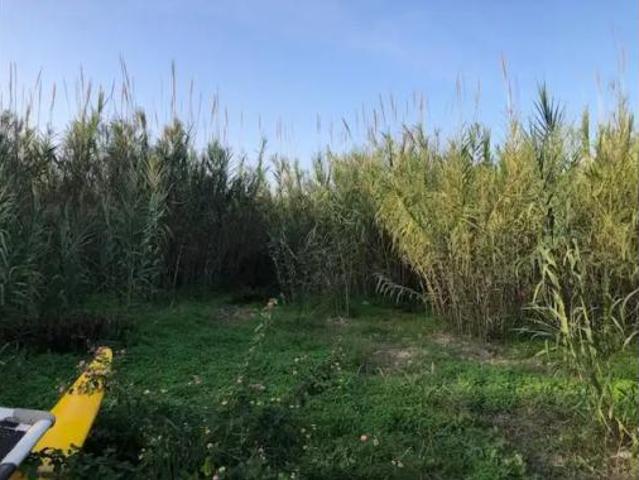 Casa Venta Gandia, Grau Venècia Rafalcaïd