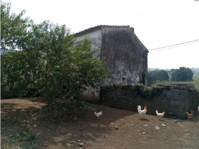 Casa Venta Hazas de Cesto, Hazas de Cesto