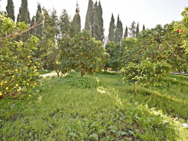 Casa Venta Jerez de la Frontera, Rural
