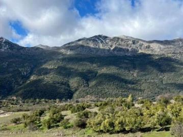 Casa Venta Jimera de Líbar, Jimera de Líbar