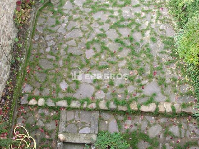 Casa Venta La Rioja
