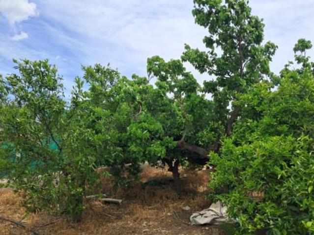 Casa Venta Lorca, La Hoya Almendricos Purias