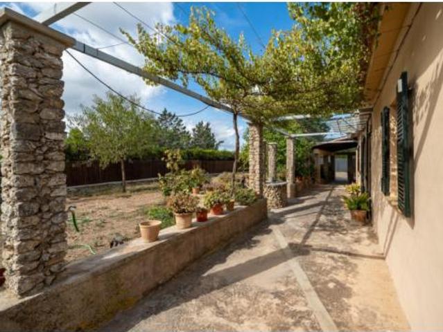 Casa Venta Palma de Mallorca, Establiments