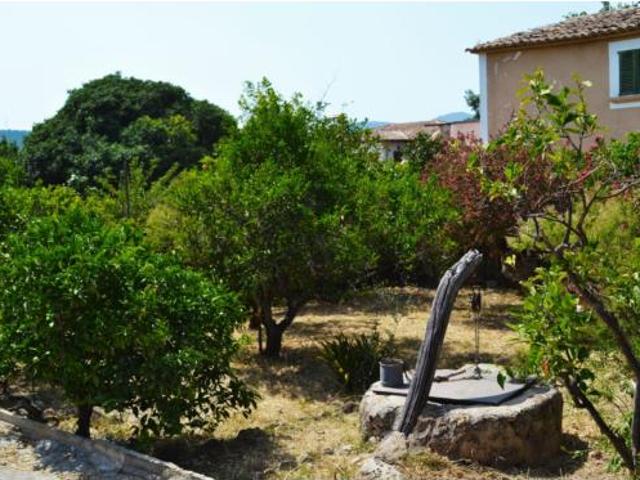 Casa Venta Palma de Mallorca, Establiments