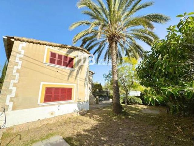 Casa Venta Palma de Mallorca, Establiments