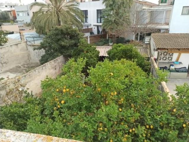 Casa Venta Palma de Mallorca, L'Olivera