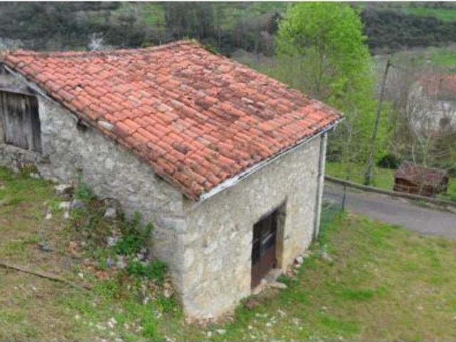 Casa Venta Peñamellera Baja, Alevia