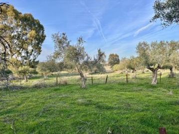 Casa Venta Peñarroya Pueblonuevo, Peñarroya Pueblonuevo