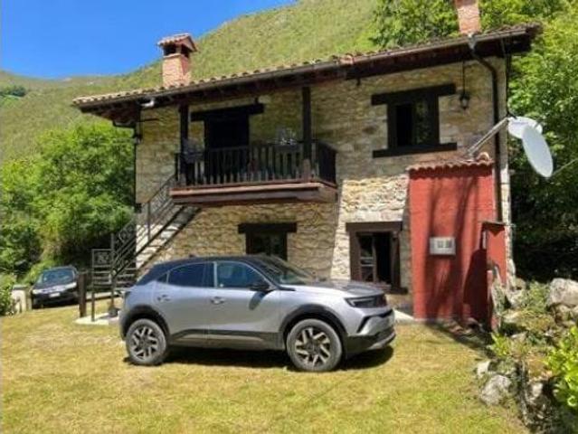 Casa Venta Piloña, Abedul Piloña