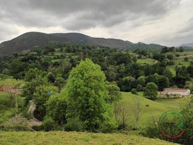Casa Venta Piloña, Infiesto