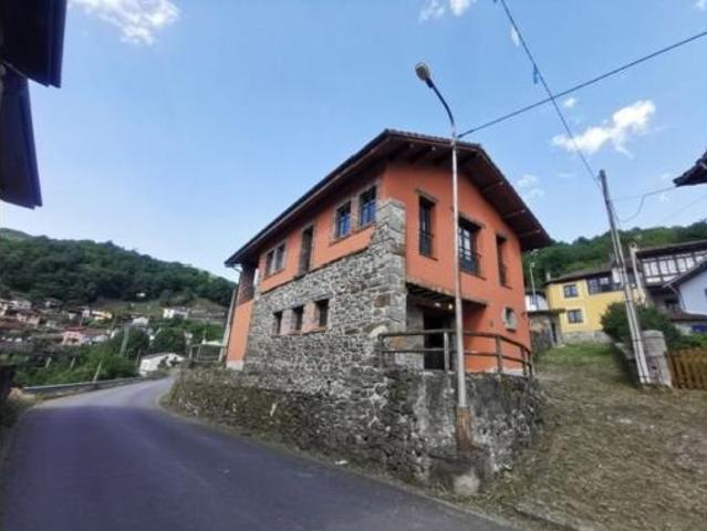 Casa Venta Ponga, Abiegos