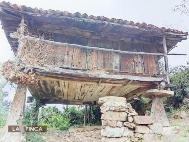 Casa Venta Quirós, Arrojo