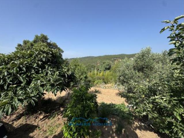Casa Venta Riudarenes, Riudarenes