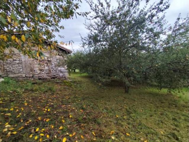 Casa Venta Salas, Salas