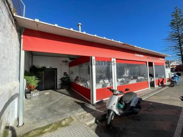 Casa Venta Sanlúcar de Barrameda, Las Palmeras Dehesilla
