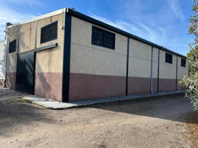 Casa Venta Sanlúcar de Barrameda, Las Palmeras Dehesilla