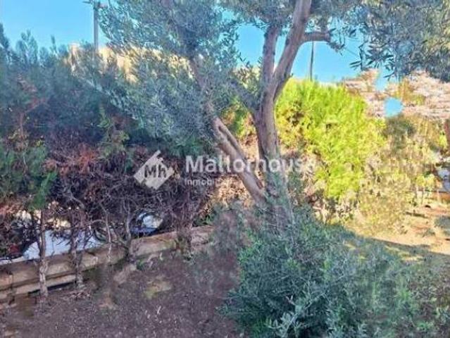 Casa Venta Santa Margalida, Santa Margalida