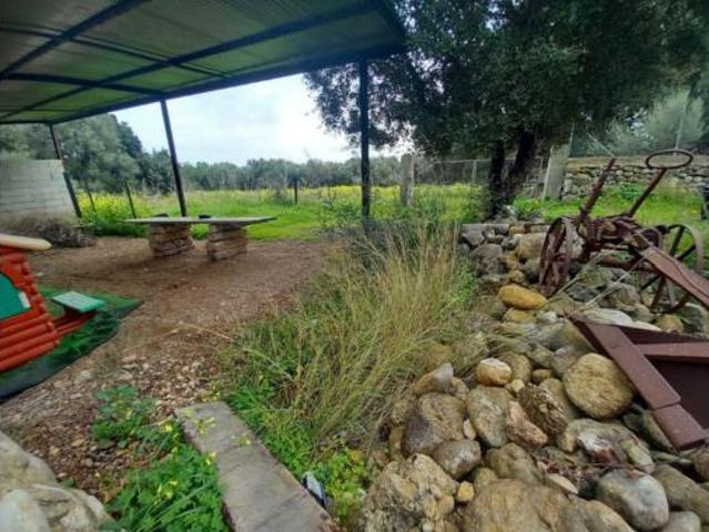 Casa Venta Selva, Selva