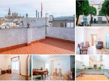 El Arenal, Sevilla, Sevilla, Sevilla, Andalucía, Andalucía