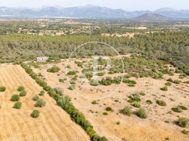 Casa Venta Sineu, Sineu