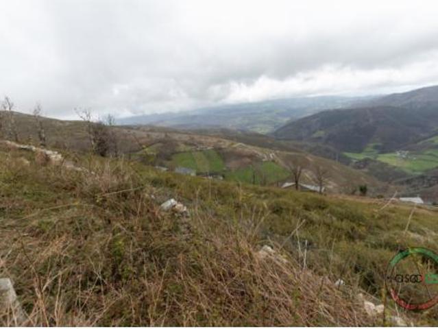 Casa Venta Tineo, Tineo