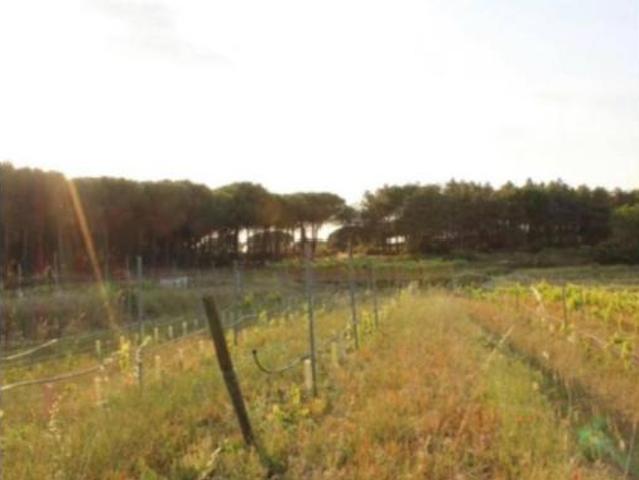 Casa Venta Tordera, Tordera