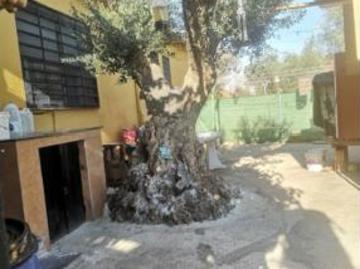 Torremocha, Cáceres, Cáceres, Extremadura, Extremadura