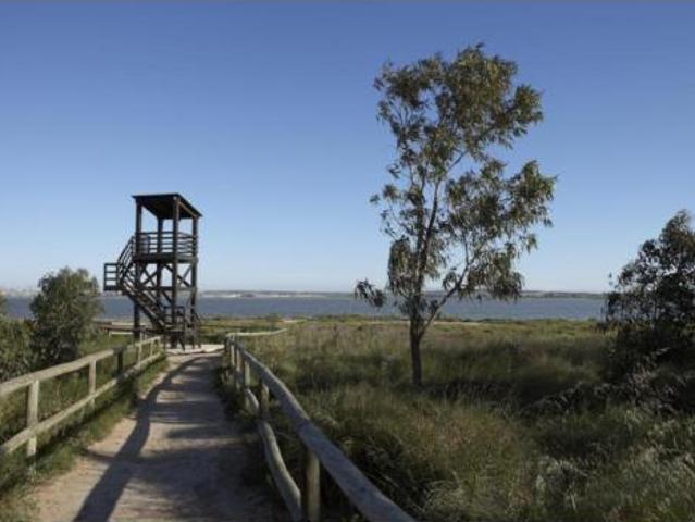 Casa Venta Torrevieja, Aguas Nuevas Torreblanca Sector 25