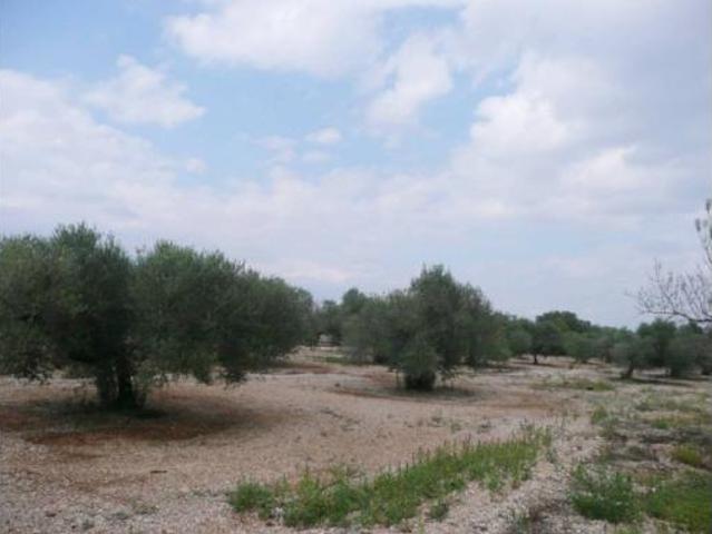 Casa Venta Ulldecona, Ulldecona