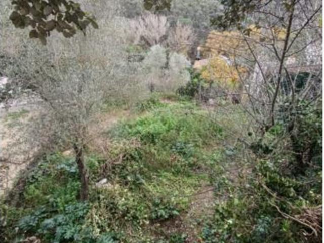 Casa Venta Vallgorguina, Vallgorguina