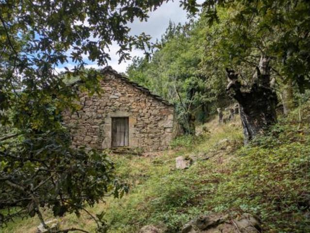Casa Venta Vega de Pas, Vega de Pas