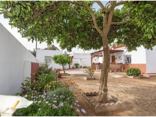 Casa Venta Vejer de la Frontera, El Cañal