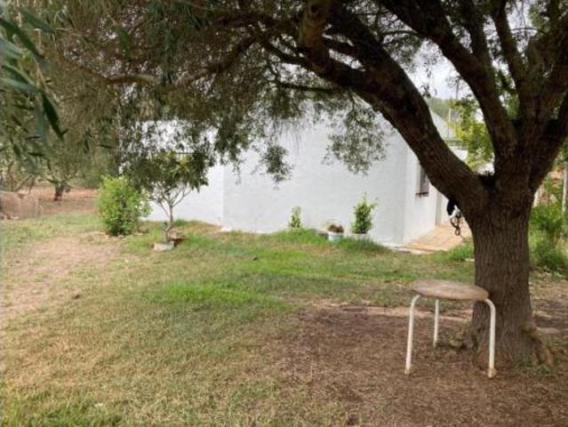 Casa Venta Vejer de la Frontera, La Muela